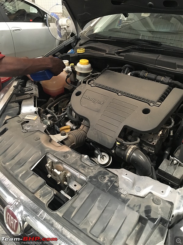 My 2014 Grey Fiat Linea 1.3L MJD-coolant-topup.jpg