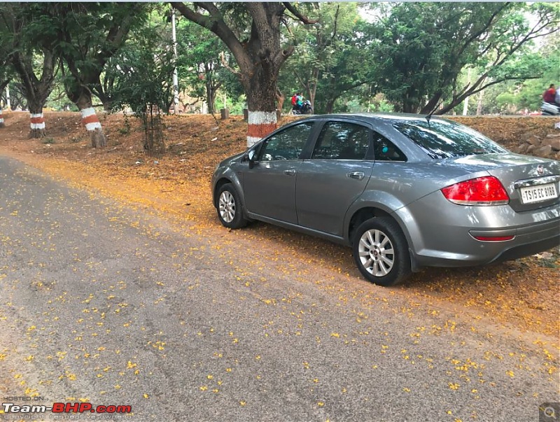 My 2014 Grey Fiat Linea 1.3L MJD-captureside.jpg