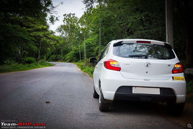 My fantastico - The pearlescent white Tata Tiago-29.jpg