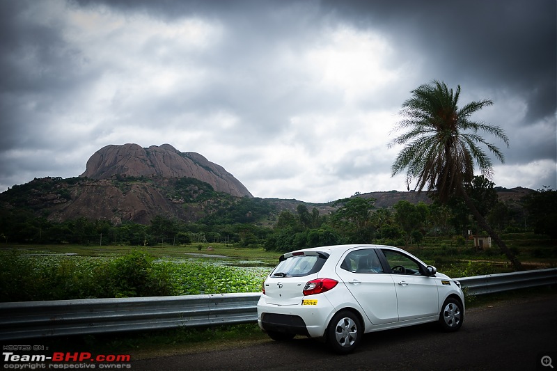 My fantastico - The pearlescent white Tata Tiago-32.jpg