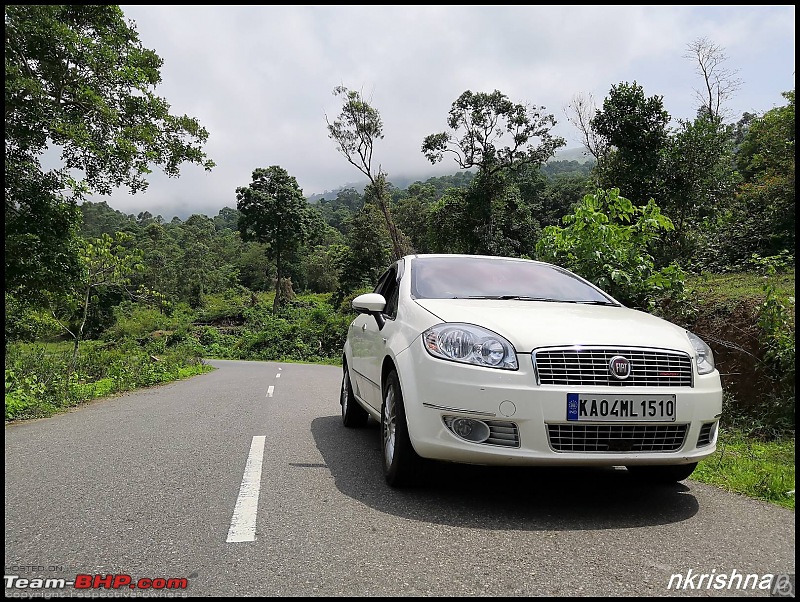 Petrol Hatch to Diesel Sedan - Fiat Linea - Now Wolfed-somewhere-western-ghats.jpg