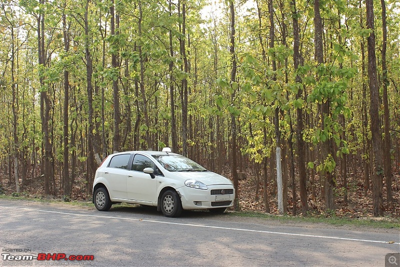 Living with a Fiat Punto for 4.5 years & 1 lakh km-assam-1.jpg