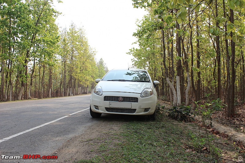 Living with a Fiat Punto for 4.5 years & 1 lakh km-assam-2.jpg