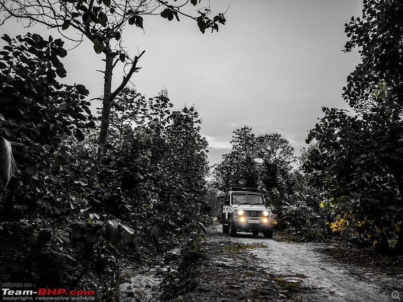 Life with a Force Gurkha 2.6L 4x4 | EDIT: 40,000 km up-forest-drive.jpeg