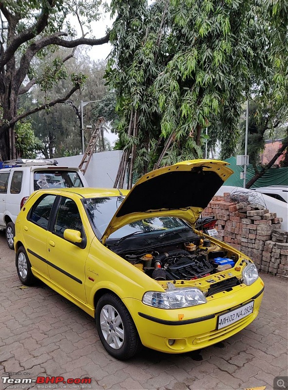 The Cricket Connection - Fiat Palio S10-img_20211130_234116_523.jpg