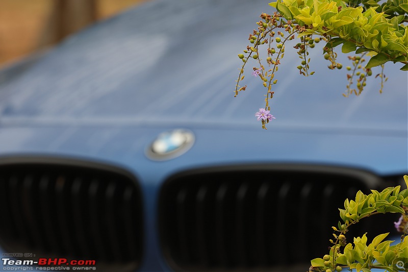 A GT joins a GT - Estoril Blue BMW 330i GT M-Sport comes home - EDIT: 100,000 kilometers up-387a4499.jpg