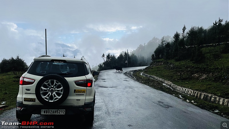 The story of Baahon, my Ford EcoSport 1.5 TDCi | EDIT: 2,00,000 KMs Update-476705ad2112492cbe15eb7db4abbc7f.jpeg