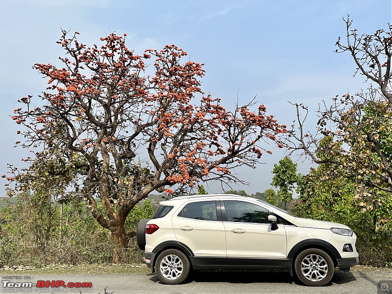 The story of Baahon, my Ford EcoSport 1.5 TDCi | EDIT: 1,74,500 km service update-img_4172.jpeg