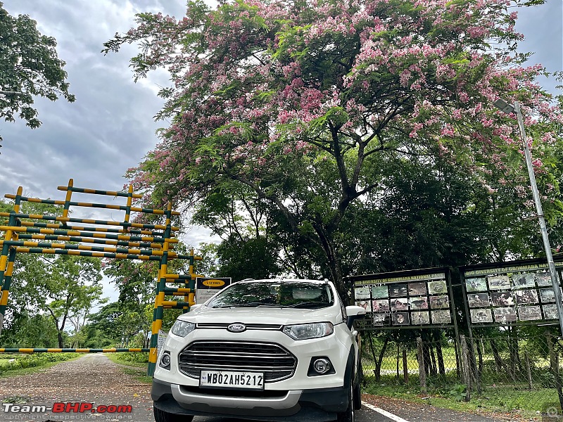 The story of Baahon, my Ford EcoSport 1.5 TDCi | EDIT: 2,00,000 KMs Update-img_4871.jpeg