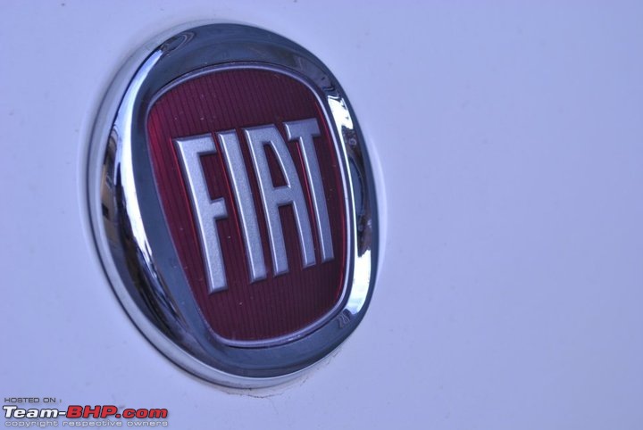 FIAT-Ferrari in affordable trim - My Grande Punto 1.2 Emotion-fiat.jpg