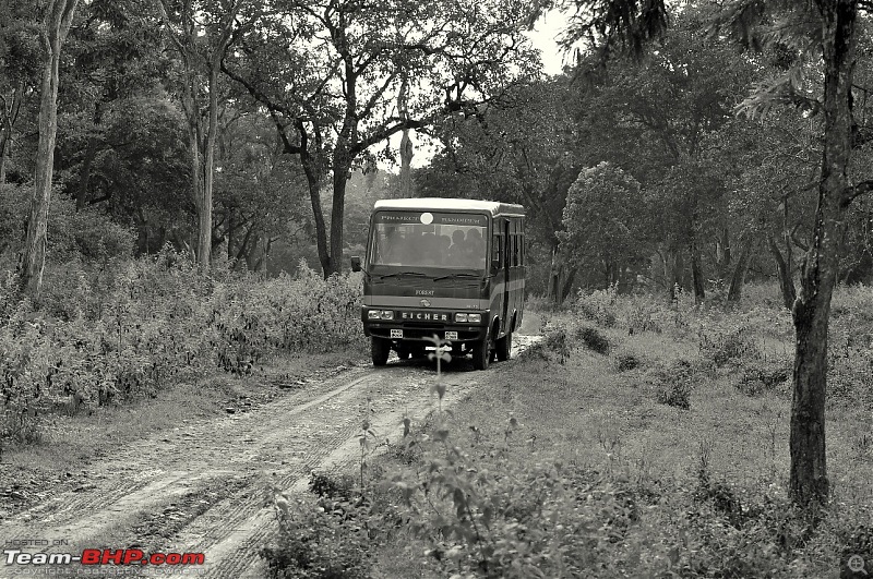 Soldier of Fortune: Wanderings with a Trusty Toyota Fortuner - 150,000 kms up!-dsc_2848.jpg