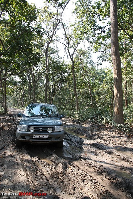 Tata Safari Dicor 2.2 LX VTT-TMT [The Magnificient Tourer] - the first 2.2 on T-Bhp-img_1271.jpg