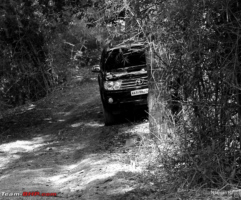 Soldier of Fortune: Wanderings with a Trusty Toyota Fortuner - 150,000 kms up!-dsc_3398.jpg