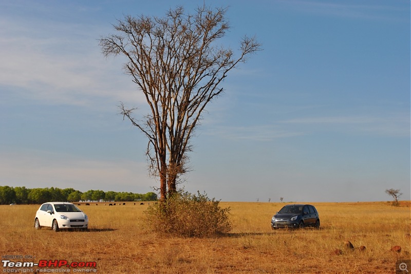 FIAT-Ferrari in affordable trim - My Grande Punto 1.2 Emotion-dsc_7382.jpg