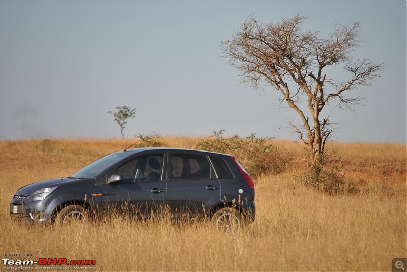 FIAT-Ferrari in affordable trim - My Grande Punto 1.2 Emotion-dsc_7415.jpg