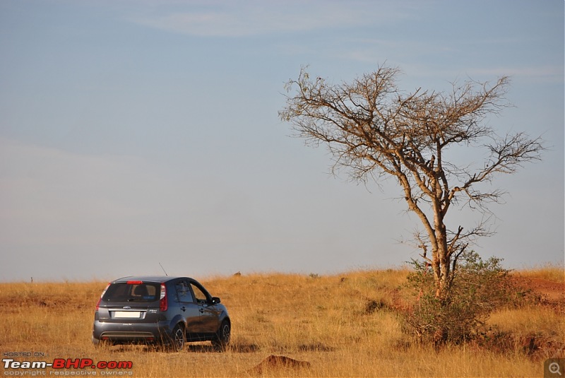 FIAT-Ferrari in affordable trim - My Grande Punto 1.2 Emotion-dsc_7427.jpg