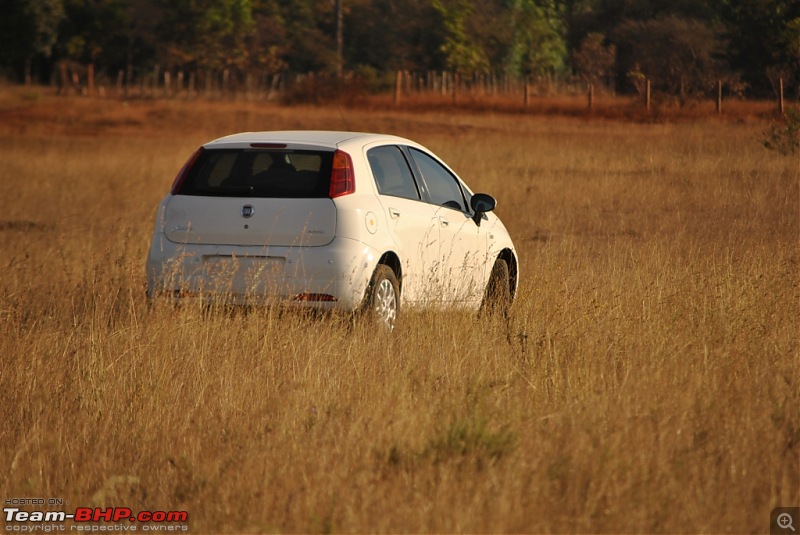 FIAT-Ferrari in affordable trim - My Grande Punto 1.2 Emotion-dsc_7430.jpg