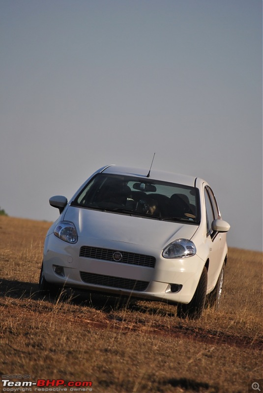 FIAT-Ferrari in affordable trim - My Grande Punto 1.2 Emotion-dsc_7443.jpg