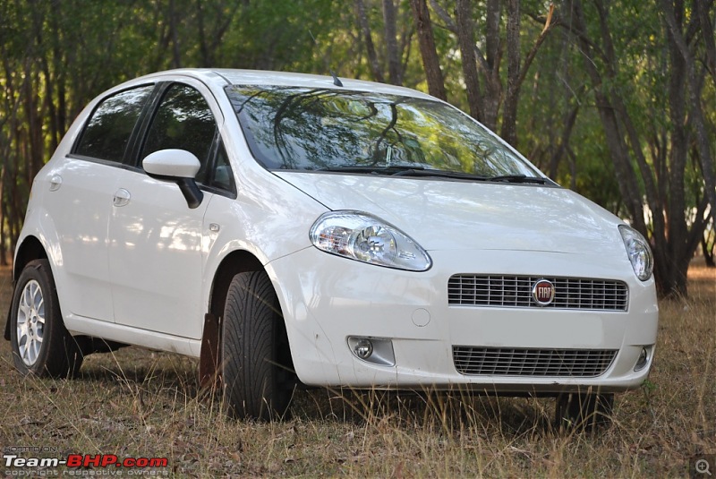 FIAT-Ferrari in affordable trim - My Grande Punto 1.2 Emotion-dsc_7445.jpg