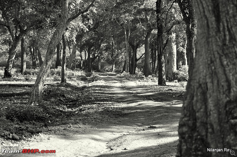 Soldier of Fortune: Wanderings with a Trusty Toyota Fortuner - 150,000 kms up!-dsc_5071.jpg