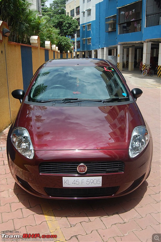 Chronicles of Jai Sackett  Fiat Punto 1.3L MJD. 2nd year & 3rd service update-dsc_2104.jpg