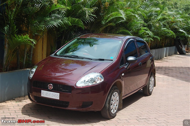 Chronicles of Jai Sackett  Fiat Punto 1.3L MJD. 2nd year & 3rd service update-dsc_2643.jpg