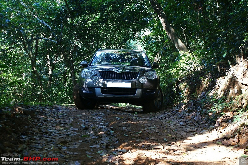 The Silver LittleBigFoot and a Skoda Yeti New Year 2012 EDIT: Sold!-dsc08929.jpg