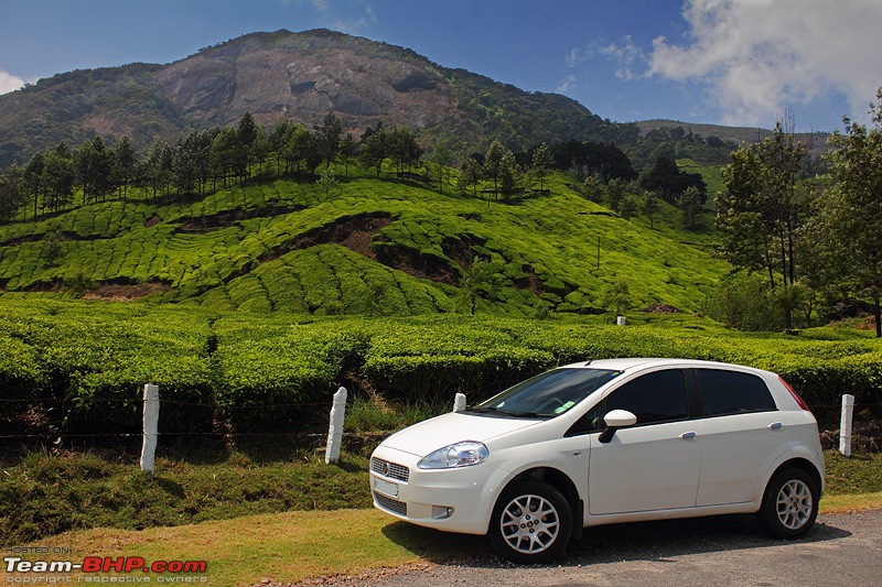 A thin line between genius and insanity - Fiat Grande Punto 90HP - 2,00,000 km up! Edit: Sold-img_6863b_800.jpg