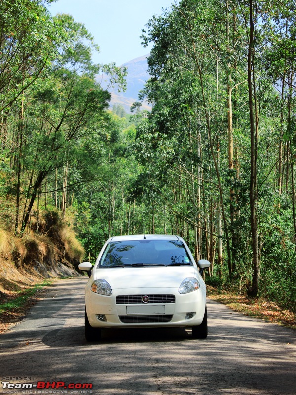 A thin line between genius and insanity - Fiat Grande Punto 90HP - 2,00,000 km up! Edit: Sold-img_6824b_800lomo.jpg