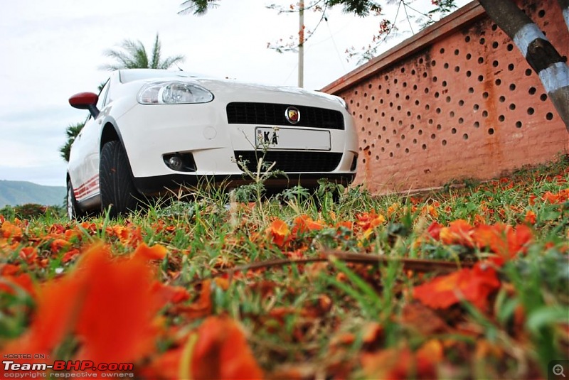 FIAT-Ferrari in affordable trim - My Grande Punto 1.2 Emotion-dsc_5861.jpg