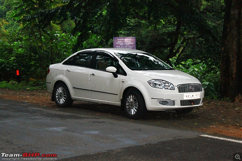 Petrol Hatch to Diesel Sedan - Fiat Linea - Now Wolfed-img_8274.jpg