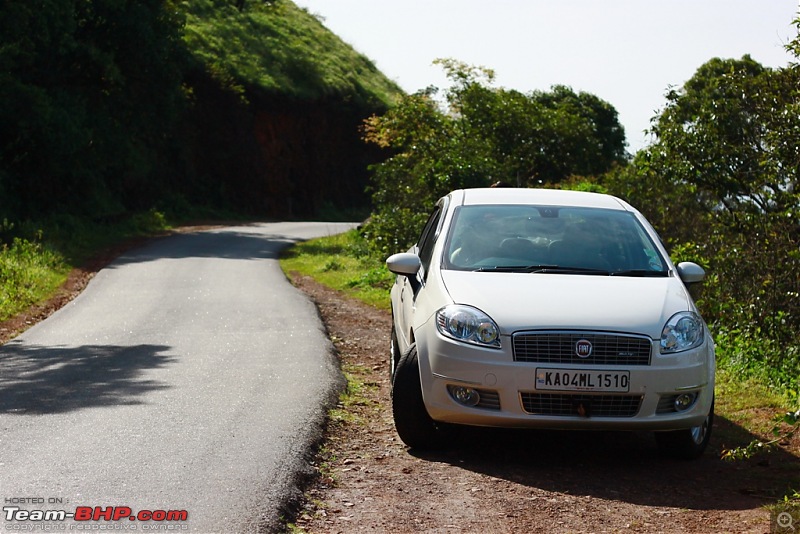 Petrol Hatch to Diesel Sedan - Fiat Linea - Now Wolfed-img_8934.jpg