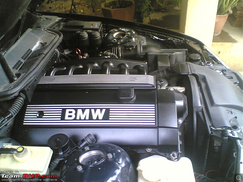 To buy or not to buy a 1996 BMW 328i Two Door Sedan-hood.jpg