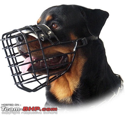 To-be-avoided Car Accessories-rottweilerrubercoateddogmuzzlewinterbasketwire_lrg.jpg