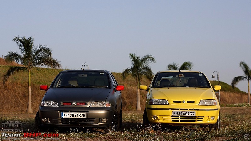 PICS : Tastefully Modified Cars in India-palio-2.jpg