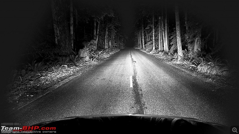 Comprehensive guide to LED Headlight upgrades-2-night-forest.jpg