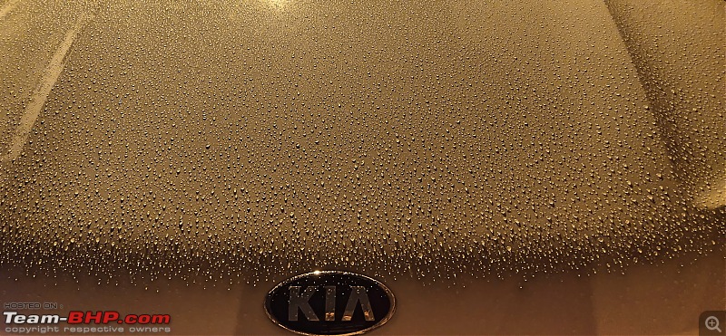 Feynlab - Ceramic coating done on my Kia Seltos-ccwb-1.jpg