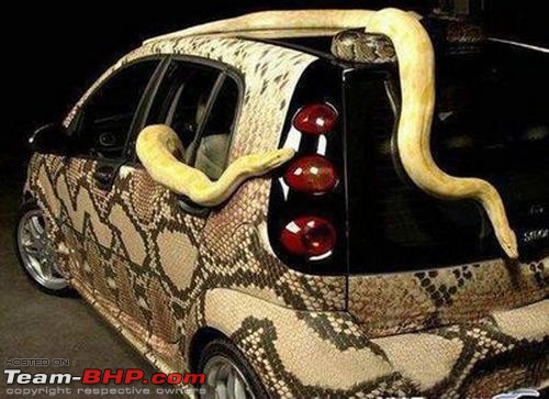 Pics of weird & wacky mod jobs in India!-snakecar2_5965.jpg