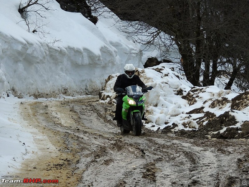 What Bike? Ninja650 vs HD Superlow vs Duke390 vs Bullet500. Edit: HD Superlow it is !-543657_348234588610342_967040517_n.jpg