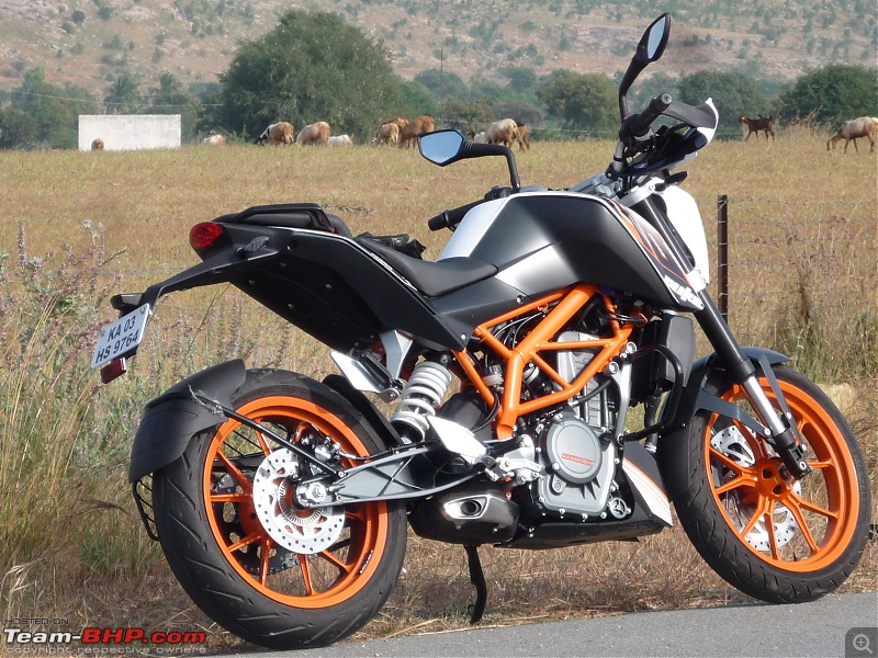 The Crotch Rocket - KTM Duke 390-p1040039_r.jpg