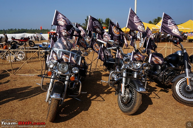 Pictures: India Bike Week 2014-11harleys010.jpg