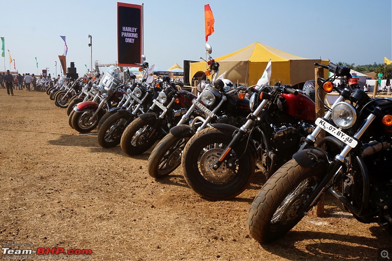 Pictures: India Bike Week 2014-12harleys011.jpg