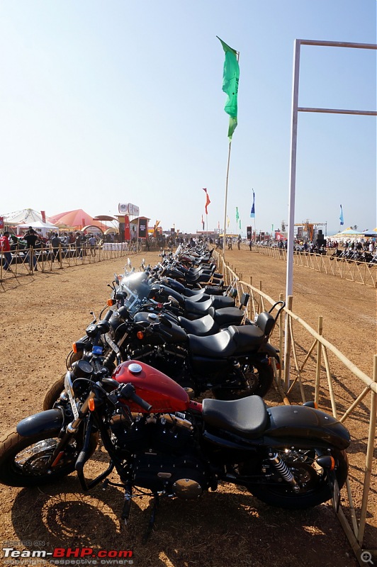Pictures: India Bike Week 2014-13harleys012.jpg