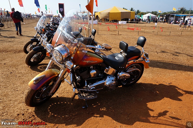 Pictures: India Bike Week 2014-14harleys013.jpg