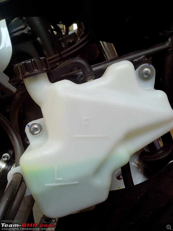 My Fair Lady : The Kawasaki Ninja 300 - Pearl Stardust White-img_20140205_102344.jpg