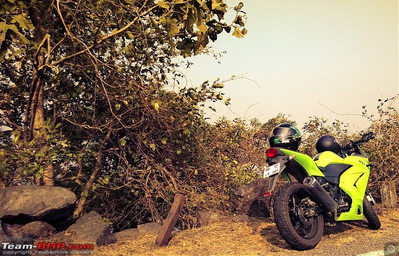 The Mean Green - A Fling with the baby Kwacker -  Ninja 250 R-1.jpg