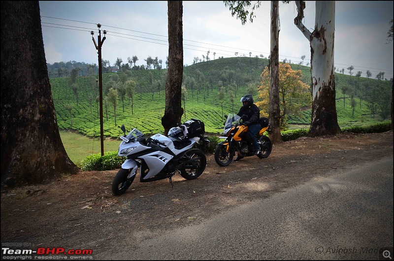 My Fair Lady : The Kawasaki Ninja 300 - Pearl Stardust White-dsc_0902.jpg