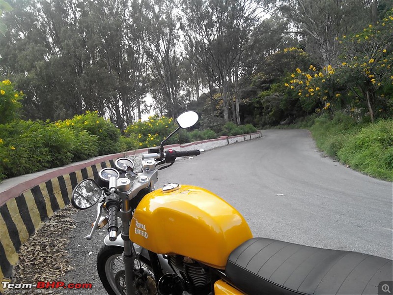 Royal Enfield Continental GT 535 : Ownership Review (29,000 km and 7 years)-20141002171825-medium.jpg