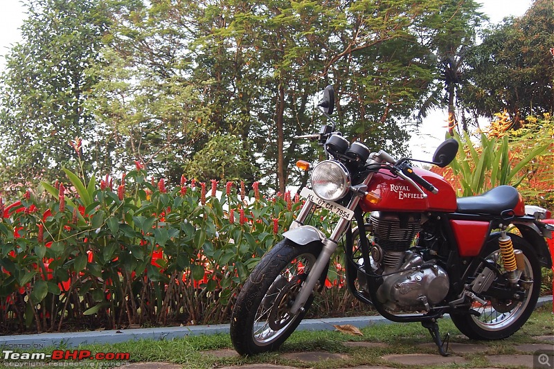 Royal Enfield Continental GT 535 : Ownership Review (29,000 km and 7 years)-pc295435-large.jpg