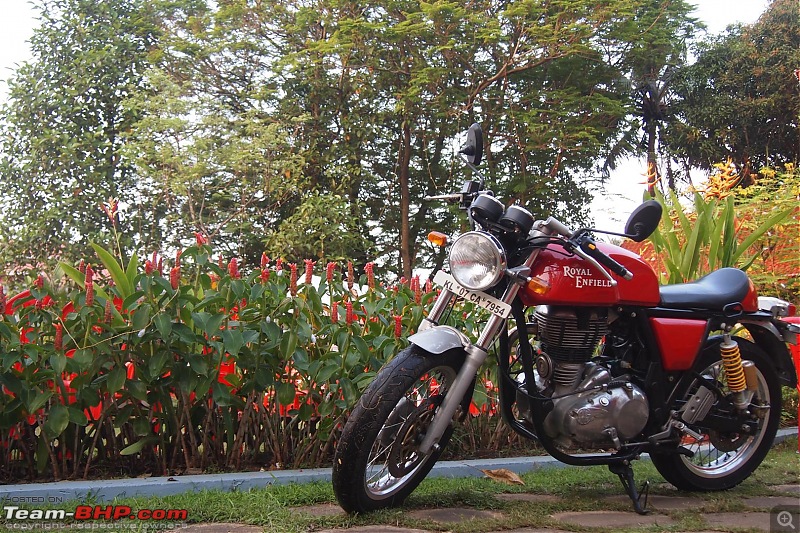 Royal Enfield Continental GT 535 : Ownership Review (32,000 km and 9 years)-pc295435-large.jpg